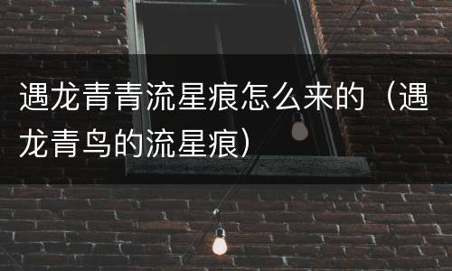 遇龙青青流星痕怎么来的（遇龙青鸟的流星痕）