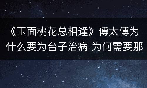 《玉面桃花总相逢》傅太傅为什么要为台子治病 为何需要那么多龙骨