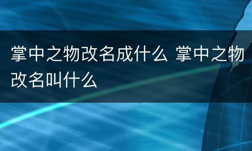 掌中之物改名成什么 掌中之物改名叫什么