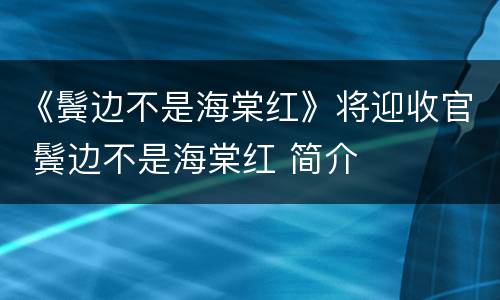 《鬓边不是海棠红》将迎收官 鬓边不是海棠红 简介
