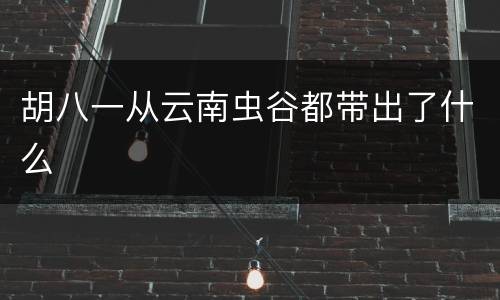 胡八一从云南虫谷都带出了什么