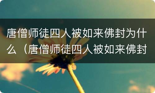 唐僧师徒四人被如来佛封为什么（唐僧师徒四人被如来佛封为什么为师父）