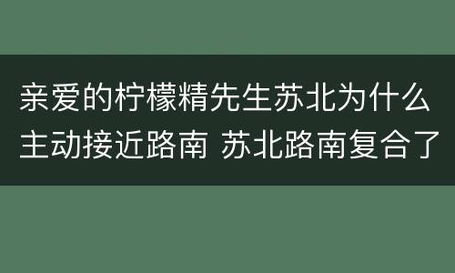 亲爱的柠檬精先生苏北为什么主动接近路南 苏北路南复合了吗