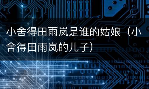 小舍得田雨岚是谁的姑娘（小舍得田雨岚的儿子）