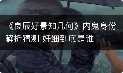 《良辰好景知几何》内鬼身份解析猜测 奸细到底是谁