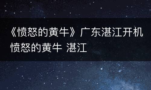 《愤怒的黄牛》广东湛江开机 愤怒的黄牛 湛江