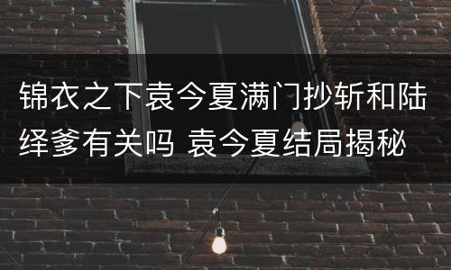 锦衣之下袁今夏满门抄斩和陆绎爹有关吗 袁今夏结局揭秘