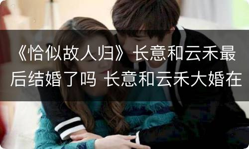 《恰似故人归》长意和云禾最后结婚了吗 长意和云禾大婚在小说第几章