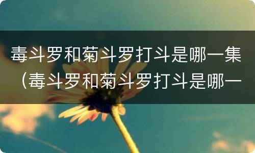 毒斗罗和菊斗罗打斗是哪一集（毒斗罗和菊斗罗打斗是哪一集）