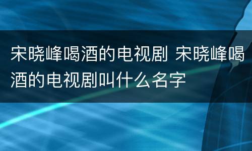 宋晓峰喝酒的电视剧 宋晓峰喝酒的电视剧叫什么名字