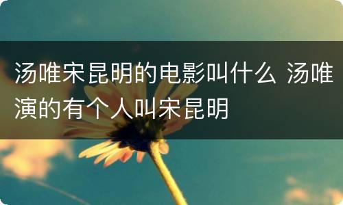 汤唯宋昆明的电影叫什么 汤唯演的有个人叫宋昆明