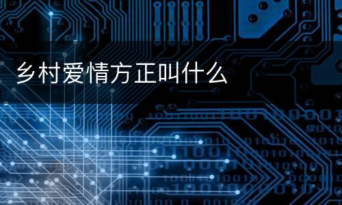 乡村爱情方正叫什么