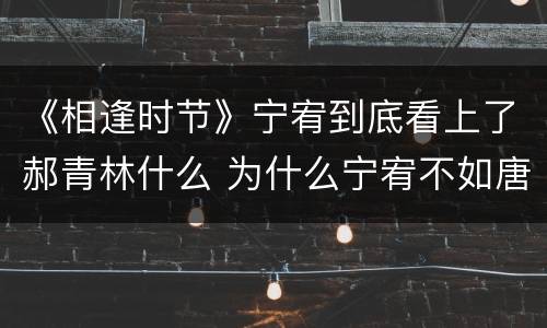《相逢时节》宁宥到底看上了郝青林什么 为什么宁宥不如唐晶讨喜